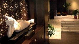 Plaza Premium Lounge (T1, Delhi Airport)