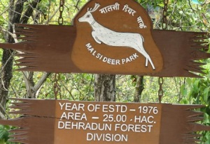 Malsi Deer Park